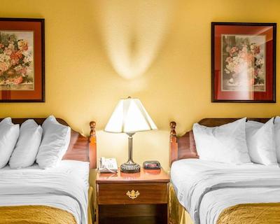 کوالیتی این لکسینگتون