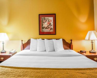 کوالیتی این لکسینگتون