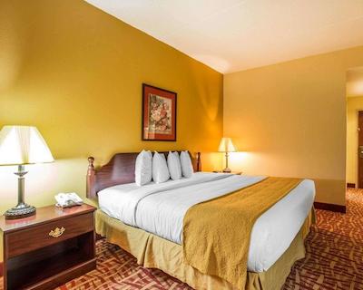 کوالیتی این لکسینگتون