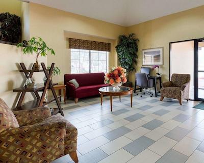 کوالیتی این بتون نیر هوستون راسو پارک