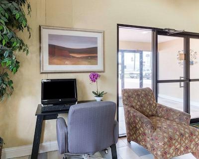 کوالیتی این بتون نیر هوستون راسو پارک