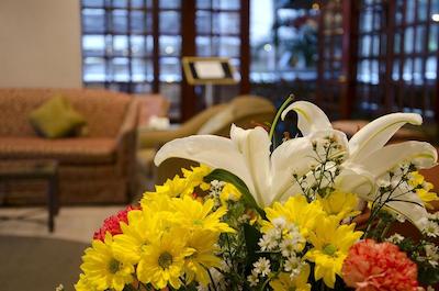 د اکسکوتیو هتل پاناما