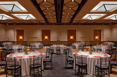 هیات رجنسی فنیکس