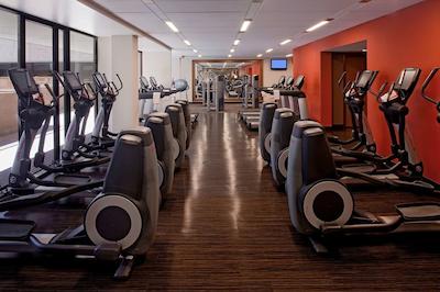 هیات رجنسی فنیکس