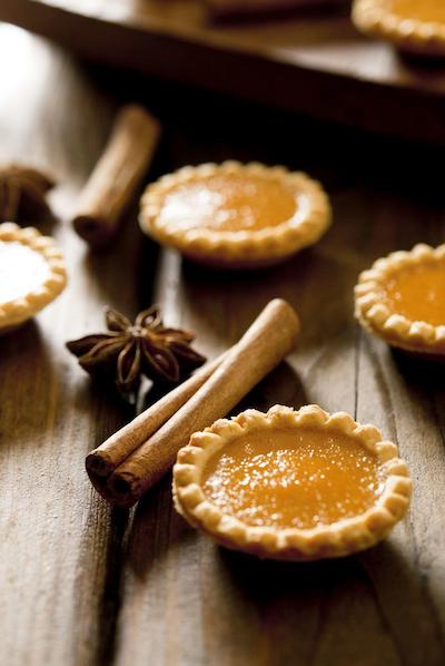 هیات رجنسی فنیکس