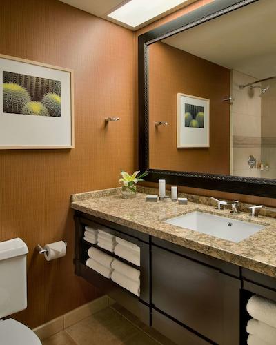 هیات رجنسی فنیکس