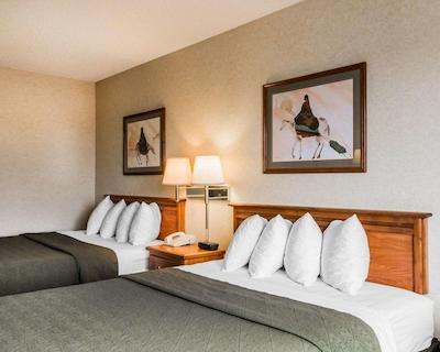 کوالیتی این اند سویتز