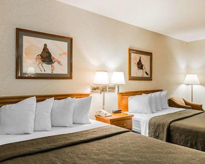 کوالیتی این اند سویتز