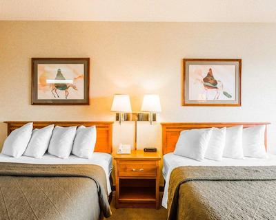 کوالیتی این اند سویتز