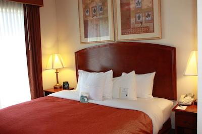 هموود سویتز بای هیلتون هوستون ایاه آیرپرت بلتو 8