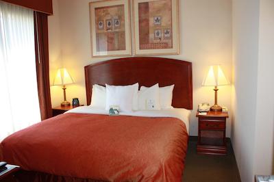 هموود سویتز بای هیلتون هوستون ایاه آیرپرت بلتو 8