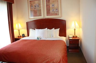 هموود سویتز بای هیلتون هوستون ایاه آیرپرت بلتو 8