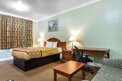 ردو این اند سویتز