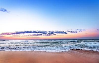 هلید این ویرجینیا بیچ-اُسینسید (21است است)