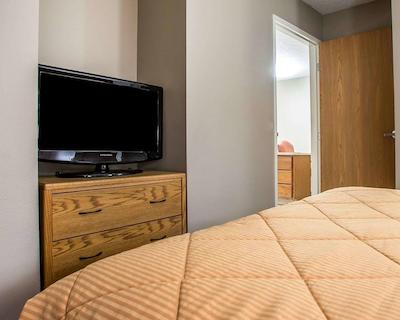 مینست سویتز سدار راپیدز