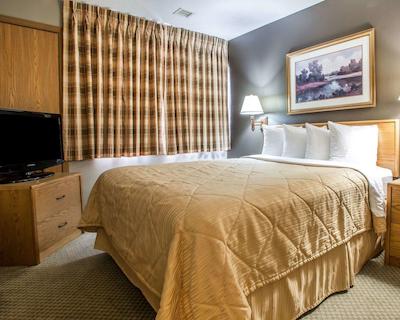 مینست سویتز سدار راپیدز