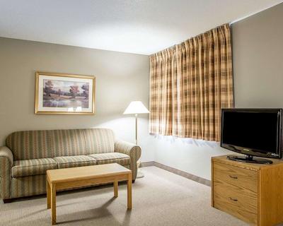 مینست سویتز سدار راپیدز