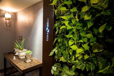 ریچمند ماریت شرت پومپ