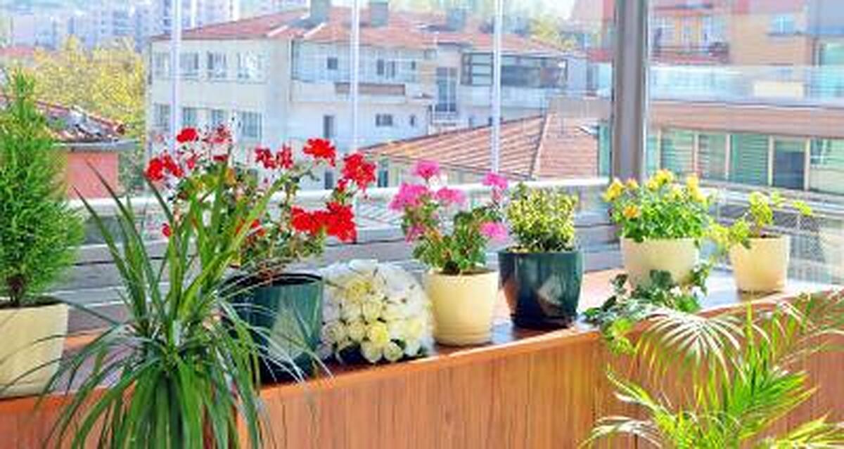 سی ‌کی هتل فارابی