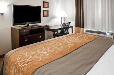 کمفرت سویتز نرد آلبوکرک بالون فیستا پارک