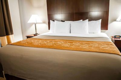 کمفرت سویتز نرد آلبوکرک بالون فیستا پارک