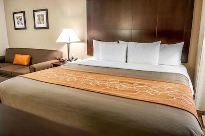 کمفرت سویتز نرد آلبوکرک بالون فیستا پارک