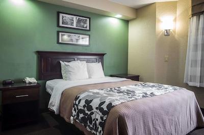 اسلیپ این سومتر