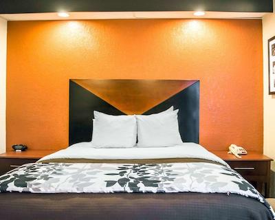 اسلیپ این نیر بوش گاردنز-وسف