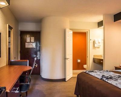 اسلیپ این نیر بوش گاردنز-وسف