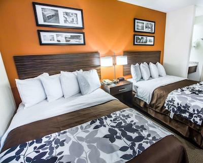 اسلیپ این فنیکس نرد ای-17