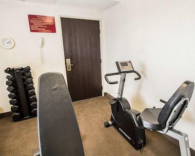 اسلیپ این فنیکس نرد ای-17