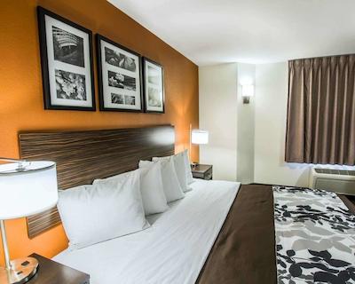 اسلیپ این فنیکس نرد ای-17