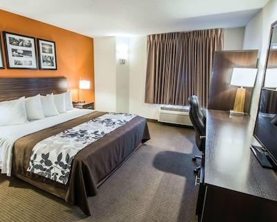 اسلیپ این فنیکس نرد ای-17