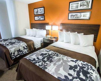 اسلیپ این فنیکس نرد ای-17