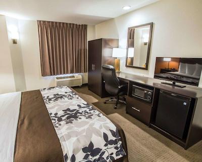 اسلیپ این فنیکس نرد ای-17