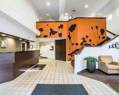 اسلیپ این فنیکس نرد ای-17