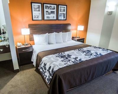 اسلیپ این فنیکس نرد ای-17