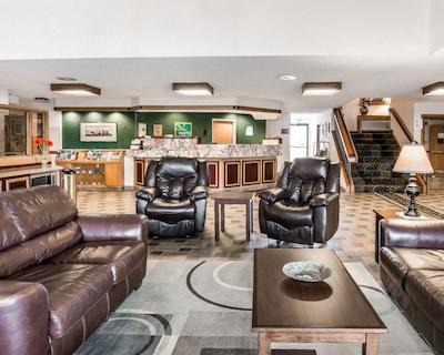 کوالیتی این پارادیس کریک