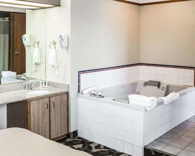 کوالیتی این پارادیس کریک