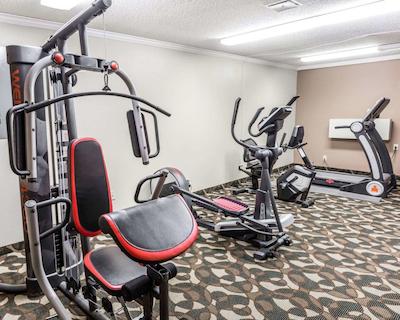 کوالیتی این پارادیس کریک