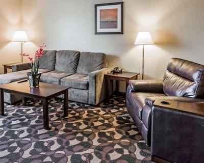 کوالیتی این پارادیس کریک