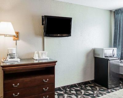 کوالیتی این پارادیس کریک