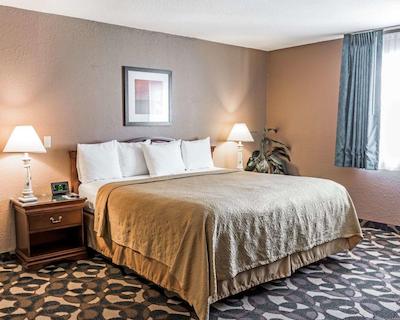 کوالیتی این پارادیس کریک