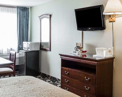 کوالیتی این پارادیس کریک