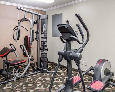 کوالیتی این پارادیس کریک