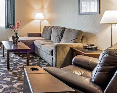 کوالیتی این پارادیس کریک