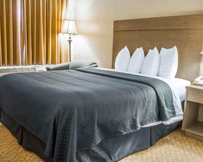 کوالیتی این پیسمو بیچ