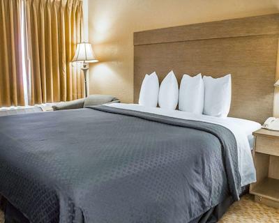 کوالیتی این پیسمو بیچ