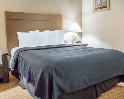 کوالیتی این پیسمو بیچ