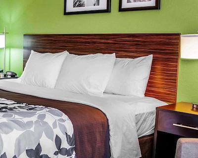 اسلیپ این اند سویتز لاکسید